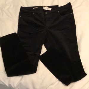 New Loft Black Corduroy Pants